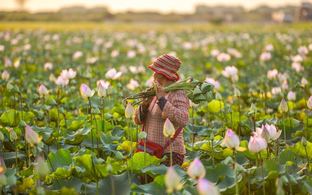 Strategi Peningkatan Program Bantuan Sosial di Desa Duri Utara