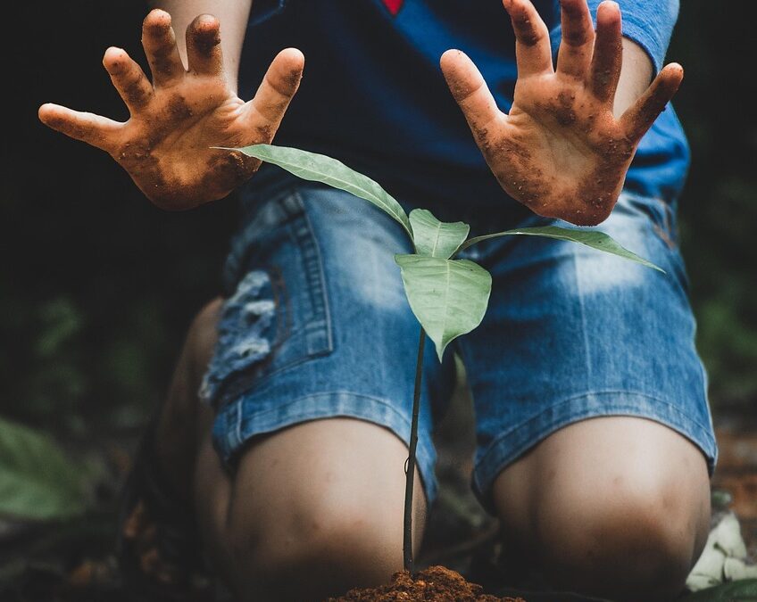 Peran Pelatihan Perekonomian dalam Pemberdayaan Masyarakat Duri Utara