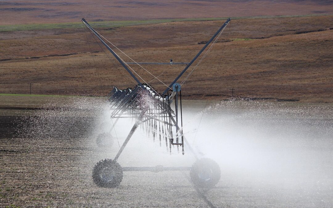 Pelatihan Teknik Pemasaran untuk Produk Lokal Duri Utara